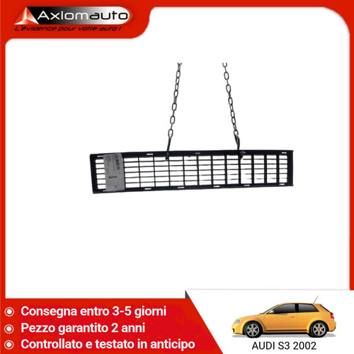 Griglia del paraurti - griglia,